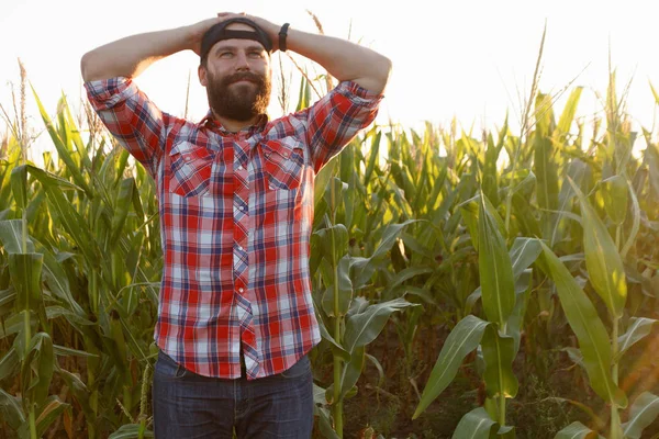 American farmer in cornfield. Farmer, close up of face in corn field. Farmer having fun and dancing, looking at camera. farming concept advanced technology in agriculture