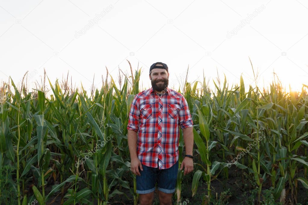 American farmer in cornfield. Farmer, close up of face in corn field. Farmer having fun and dancing, looking at camera. farming concept advanced technology in agriculture
