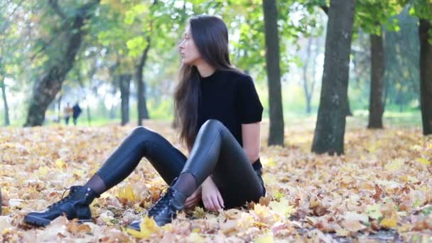 Güzel Genç Kadının Saçları Ile Oynamak Portre Kız Deri Altına — Stok video
