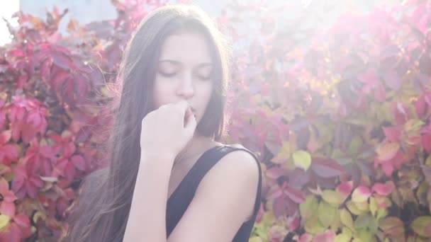 Close Van Mooie Jonge Vrouw Speelt Met Haar Haar Mooie — Stockvideo