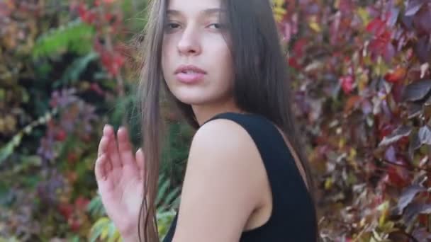 Primo Piano Bella Giovane Donna Che Gioca Con Capelli Bella — Video Stock