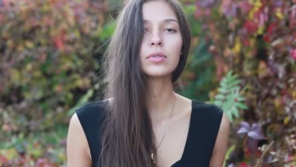 Güzel Genç Kadının Saçları Ile Oynamak Portre Doğal Makyaj Onun — Stok video