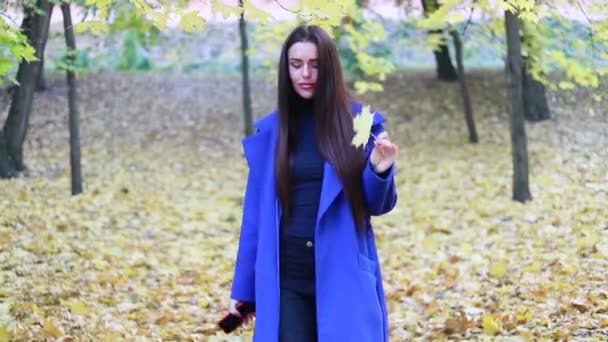 Technologii Firm Osób Piękno Styl Życia Concept Stylowe Kobiet Płaszcz — Wideo stockowe