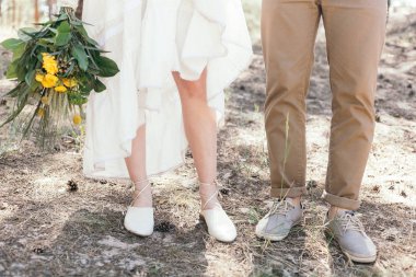 Çam ormanı içinde düğün yürüyüş. Güneşli gün.