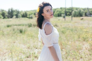 Çam ormanı içinde düğün yürüyüş. Güneşli gün.