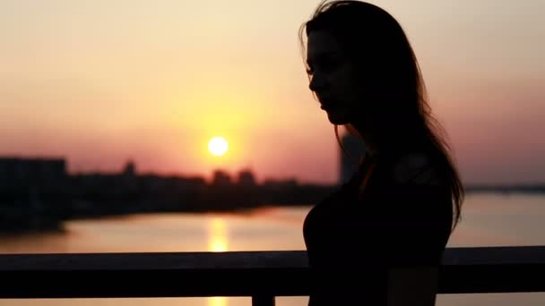 Portret Van Een Mooie Jonge Vrouw Tegen Achtergrond Van Zonsondergang — Stockvideo