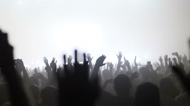 Publikum Applaudiert Konzertbühne Und Konzerthalle Konzert Musik Festival Menge Menge — Stockvideo