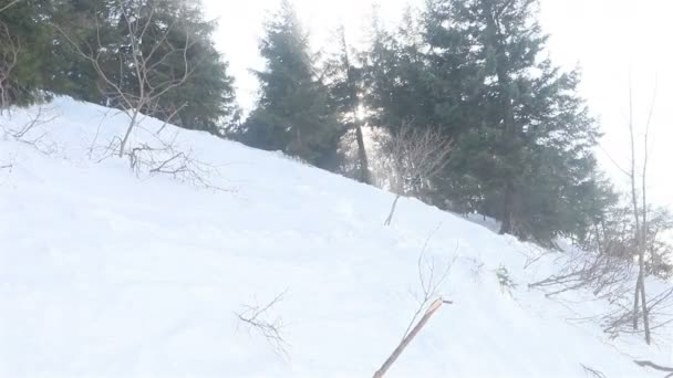 Porträt Nahaufnahme Cool Gutaussehender Mann Junger Snowboarder Außerhalb Winter Skigebiet — Stockvideo