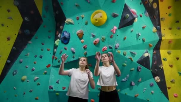极限运动 巨石阵 人与健康的生活方式 两个女孩站在巨石阵边谈论攀爬路线 — 图库视频影像