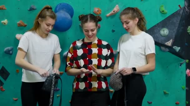 フィットネス 極端なスポーツ ボルダリング 人々と健康的なライフスタイルの概念 3人の女の子が岩壁の横に立っている間に登山ルートを議論しています — ストック動画