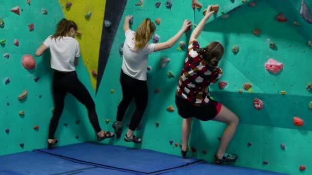 Fitness Extremsport Bouldern Menschen Und Ein Gesundes Lebensstilkonzept Drei Frauen — Stockvideo