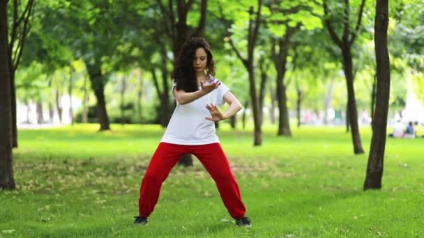 Fitness Idrott Och Framgångskoncept Kvinna Tränar Tai Chi Qigong Parken — Stockvideo