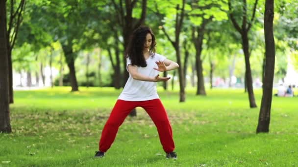 Fitness Sport Concetto Successo Una Donna Tai Chi Qigong Esercizi — Video Stock