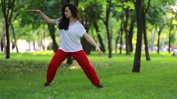 Fitness Esporte Conceito Sucesso Uma Mulher Faz Exercícios Tai Chi — Vídeo de Stock