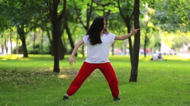 Fitness Sport Conceptul Succes Femeie Face Exerciții Qigong Tai Chi — Videoclip de stoc