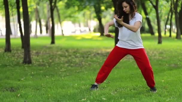 Fitness Sport Sikerkoncepció Egy Tai Chi Qigong Gyakorlatokat Végez Parkban — Stock videók