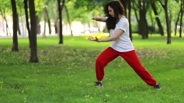 Fitness Sport Und Erfolgskonzept Eine Frau Macht Park Tai Chi — Stockvideo