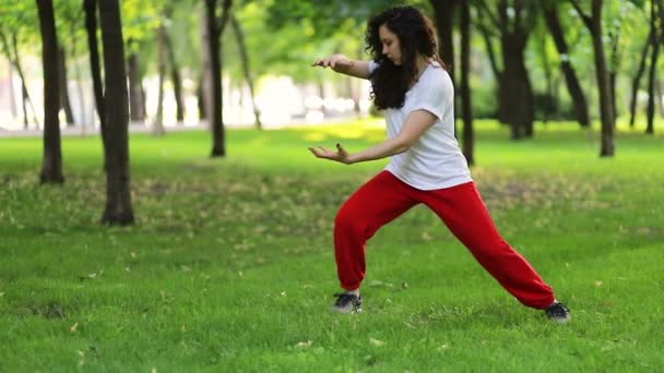Fitness Spor Başarı Konsepti Bir Kadın Parkta Tai Chi Qigong — Stok video