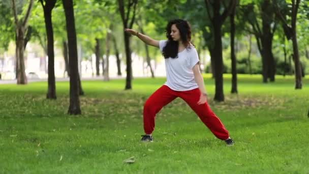Fitness Sport Success Concept Woman Does Tai Chi Qigong Exercises — Stock Video