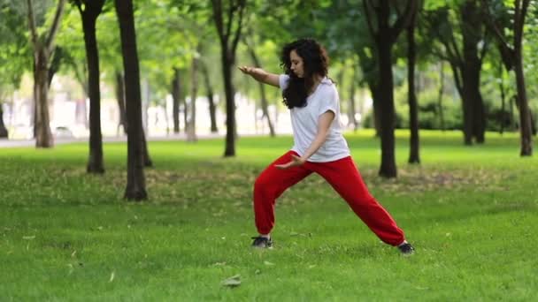 运动和成功的概念 一个女人在公园里做太极气功锻炼 东方武术武术武术 — 图库视频影像