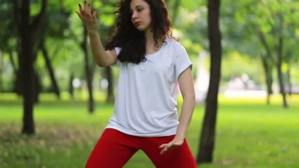 Fitness Spor Başarı Konsepti Bir Kadın Parkta Tai Chi Qigong — Stok video