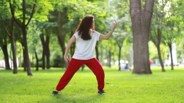 Fitness, spor ve başarı konsepti - Bir kadın parkta Tai Chi qigong egzersizleri yapar. Doğu dövüş sanatları Wushu