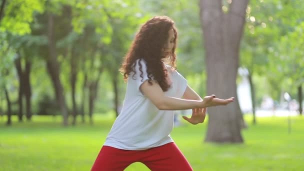 フィットネス スポーツと成功の概念 女性は公園で太極拳気功演習を行います 東武術 Wushu — ストック動画
