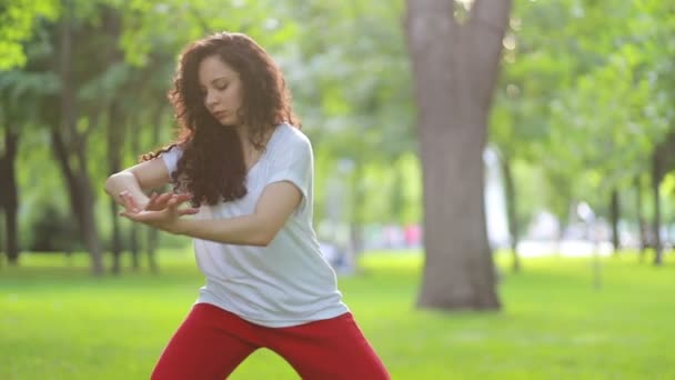 Fitness Sport Success Concept Woman Does Tai Chi Qigong Exercises — Stock Video