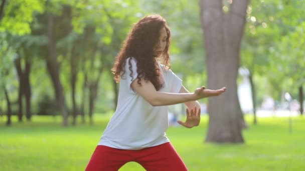 Fitness Sport Und Erfolgskonzept Eine Frau Macht Park Tai Chi — Stockvideo