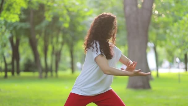 Fitness Spor Başarı Konsepti Bir Kadın Parkta Tai Chi Qigong — Stok video