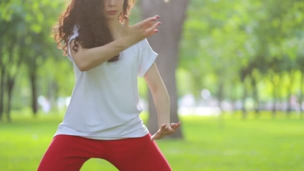 Fitness Deporte Concepto Éxito Una Mujer Hace Ejercicios Tai Chi — Vídeos de Stock