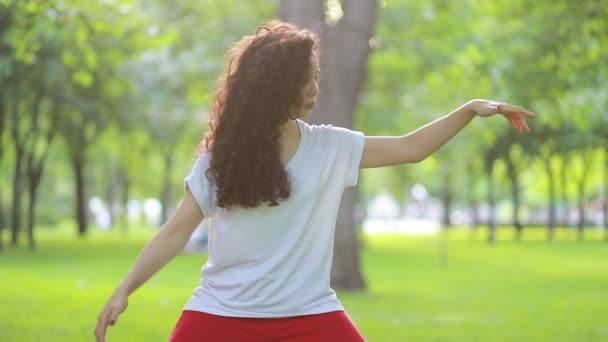 运动和成功的概念 一个女人在公园里做太极气功锻炼 东方武术武术武术 — 图库视频影像