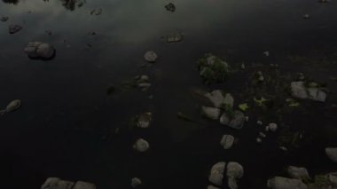 Bir dağ nehrinin havadan çekilmiş görüntüsü, bir dağın üzerinden geriye doğru uçuyor, gün batımında yeşil nehir kıyısından geçiyor, akıntılı küçük kayalar, su yüzeyinde güneş ışığı