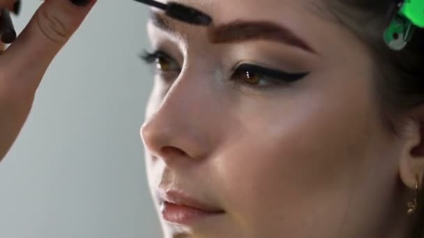 Het Meisje Schoonheidssalon Doet Make Lippen Van Vrouw Zijn Geschilderd — Stockvideo
