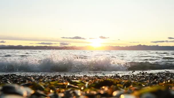 Meereswellen Krachen Der Nähe Von Kap Enttäuschung Leuchtturm Der Dämmerung — Stockvideo