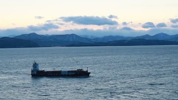 Vista Arriba Hacia Abajo Barcos Embarcaciones Puerto Muelle Petropavlovsk Kamchatskiy — Vídeo de stock