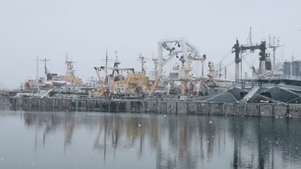 Ein Blick Von Oben Auf Schiffe Und Schiffe Einem Hafen — Stockvideo