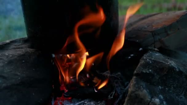 大锅在木桩上 在树林里露营 在火上做饭 野外厨房 在一个沸腾的锅里 在用来烧水的水壶下面生起的火 汤碗里的汤 — 图库视频影像