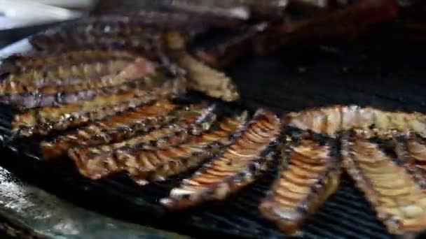 一个夏日的下午 一排排多汁的排骨在烤肉架上烹调 — 图库视频影像