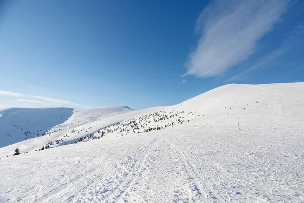 晴れた日には雪に覆われた木々とスキー場とチェアリフト コンブルースキー場 フランスアルプス — ストック写真