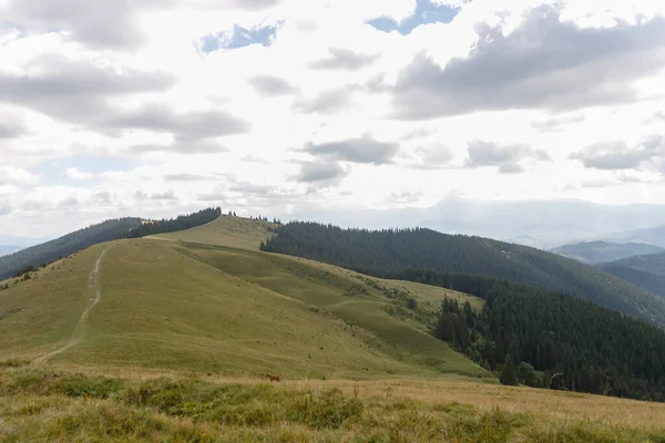 Letní Krajina Horách Tmavě Modrá Obloha Mraky Krajina Pohoří Bucegi — Stock fotografie