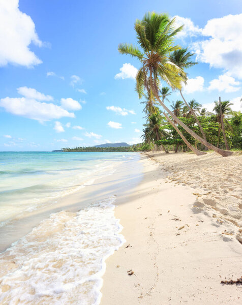 отдых в Доминиканской Республике
