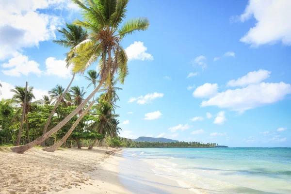 Vacaciones en República Dominicana — Foto de Stock