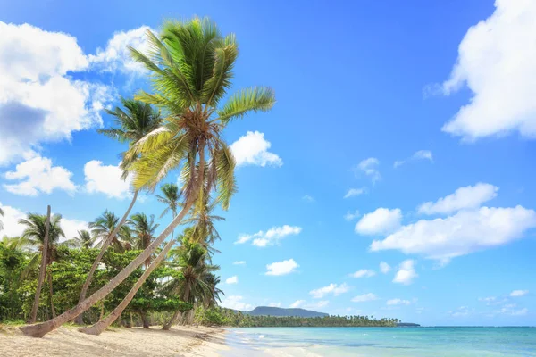 Vacaciones en República Dominicana — Foto de Stock