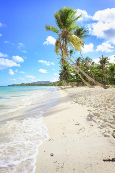 Vacaciones en República Dominicana — Foto de Stock