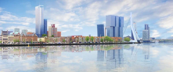 Panorama von rotterdam — Stockfoto