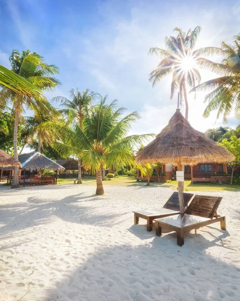 Praia Koh Lipe Ensolarada Vazia Com Palmas Altas Bungalows Praia — Fotografia de Stock