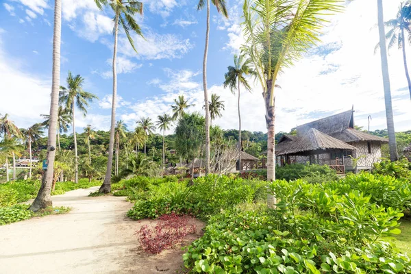 Aziatisch tropisch zandstrand paradijs met hoge palmen in Thailand — Stockfoto