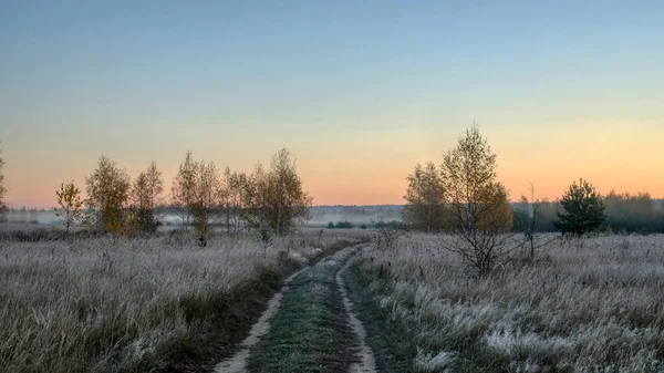 Country road in the fields of frozen grass