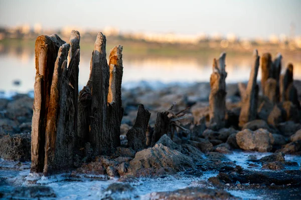 Odessa Ölü Deniz. Suda tuz.